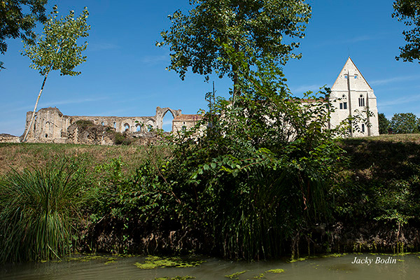 Abbaye de Maillezais vue du canal