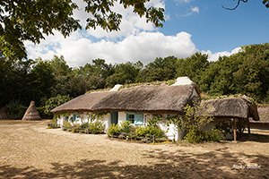 La bourrine du bois Juquaud