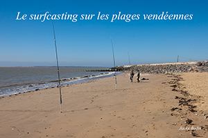 Le surfcasting sur les plages vendéennes