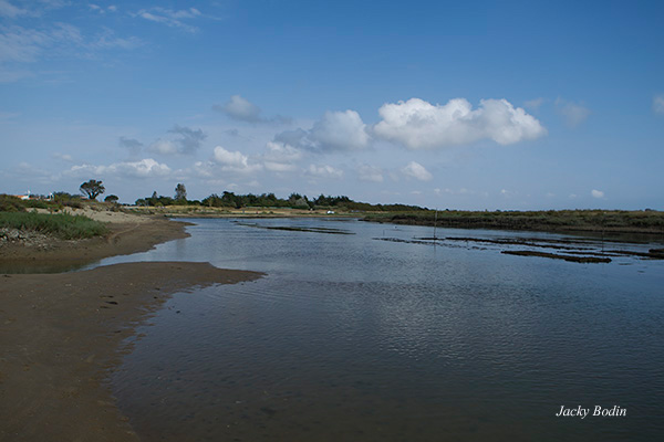 Une vue des parcs