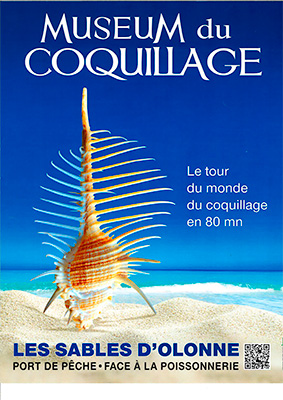 Muséum du coquillage des Sables d'Olonne