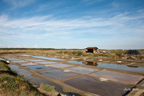 Une vue de la saline