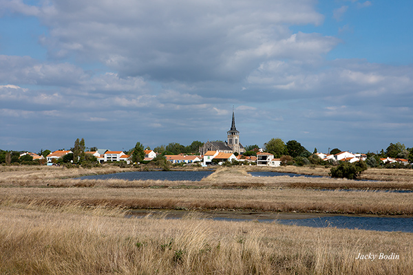 L'ile d'Olonne village situé dans les marais