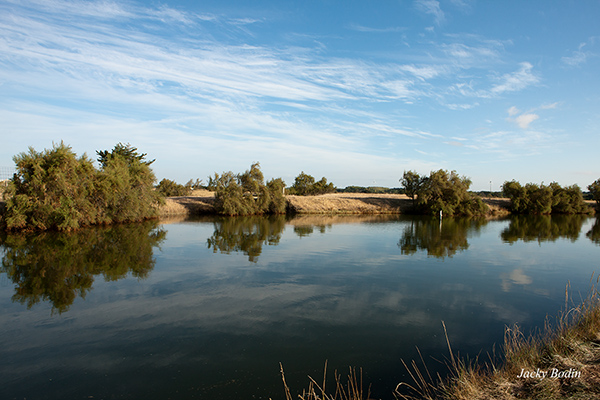 Marais de l'Ile d'olonne