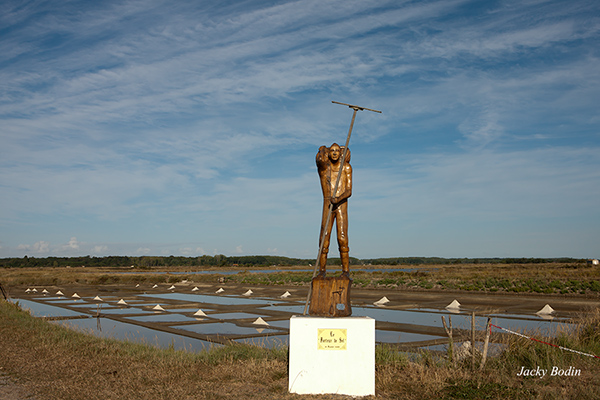 Le porteur de sel