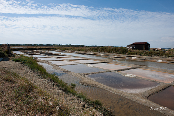 Une autre vue de la saline