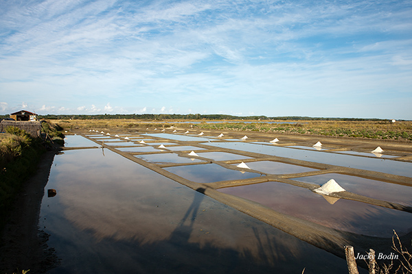 Une vue des salines de Yohan-Paul Eveno