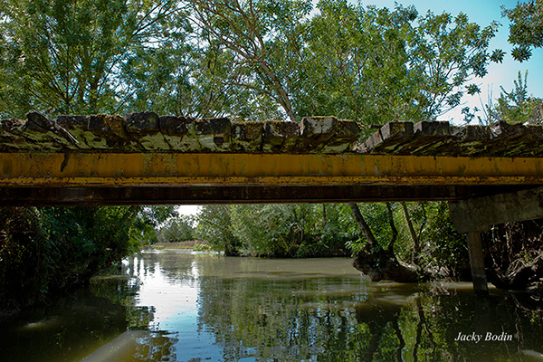 les canaux du marais Poitevin