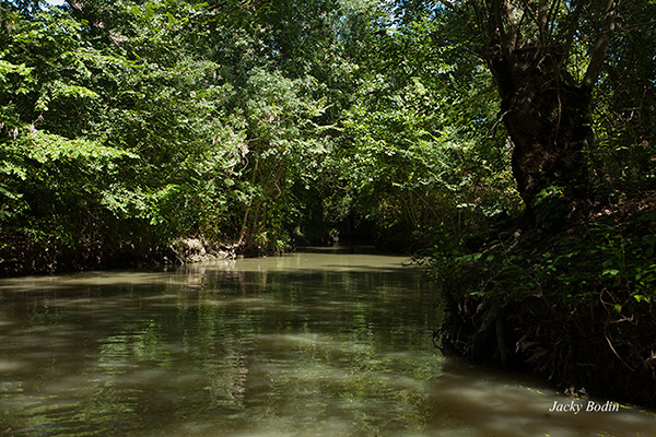 canal du Marais Poitevin