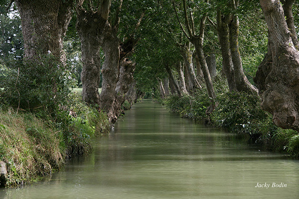 Canal du Marais Poitevin