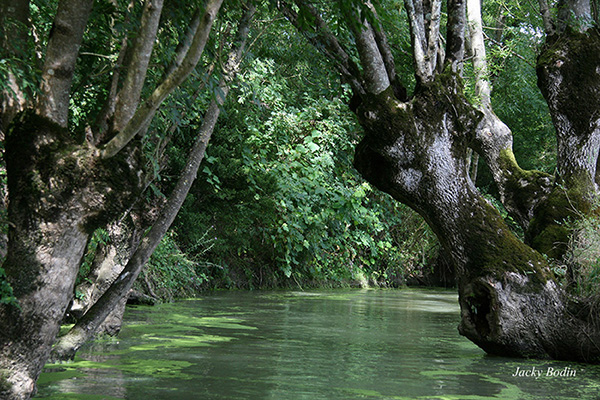 canal du Marais Poitevin