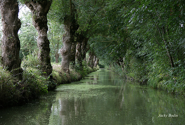 canal du marais