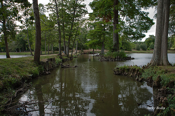 encore une jolie vue du parc