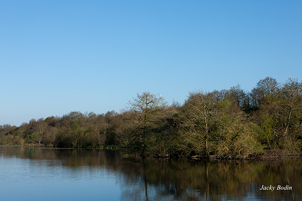 une vue sur un plan d'eau dans le marais vendéen plan d'eau magnifique ou évolue la faune