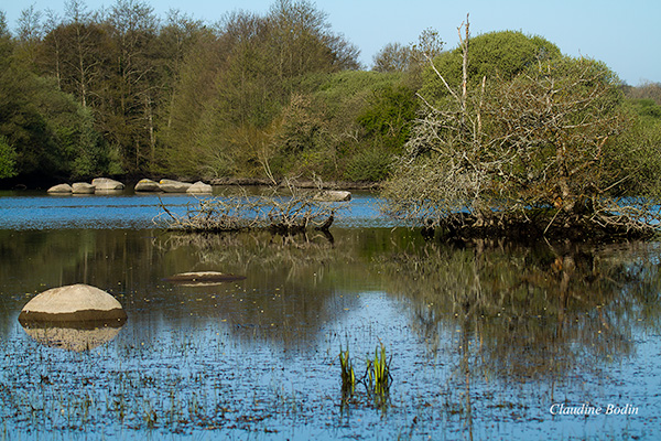 une vue magnifique de ce marais resté sauvage et naturel