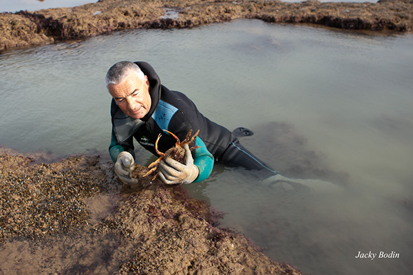 Pêche aux crabes avec Philippe Michaux