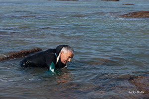 Peche aux crabes à la main en Vendée