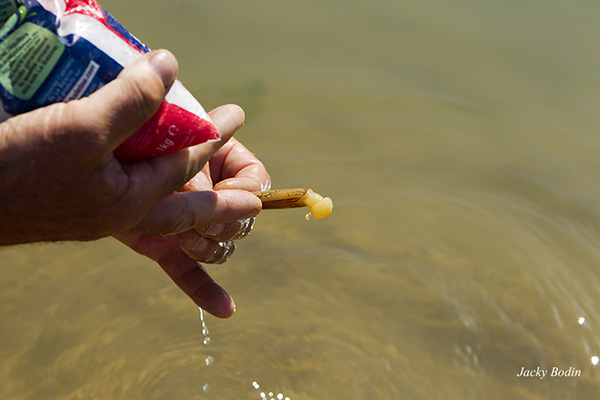 Pêche au couteau avec du gros sel