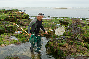 Pêche aux crevettes à la plage du Veillon en Vendée avec Philippe Michaud notre guide