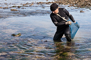 La pêche aux pétoncles dans l'eau présentée par Philippe Michaud